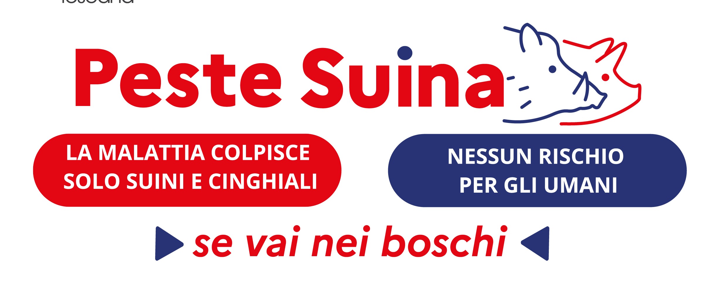 Immagine principale