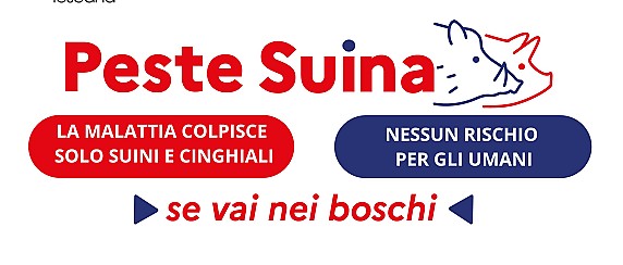 PSA. Peste Suina Africana