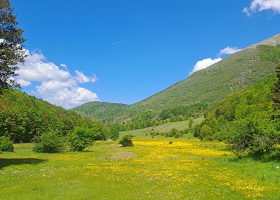 Immagine non trovata