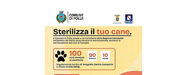 STERILIZZA IL TUO CANE!