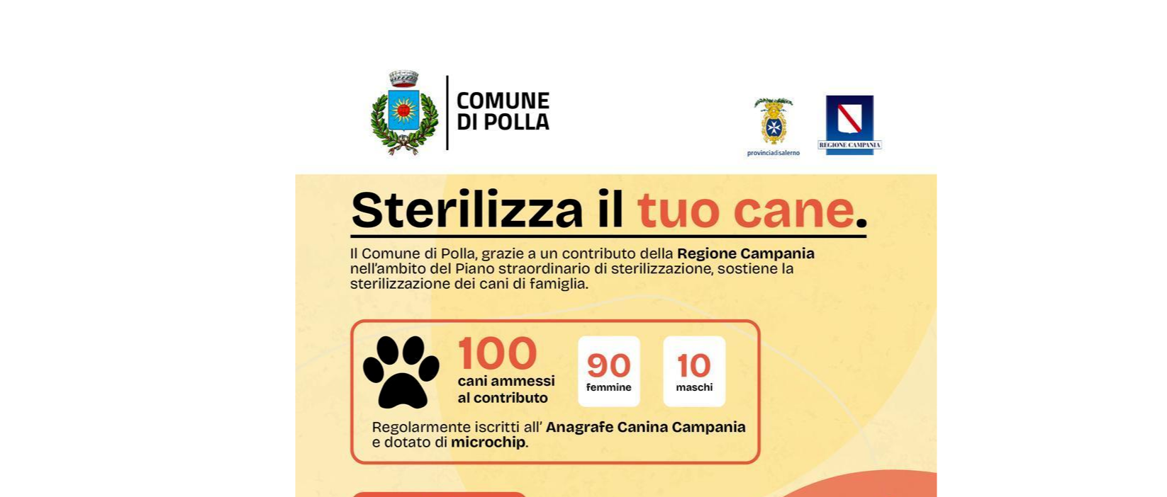 Immagine principale