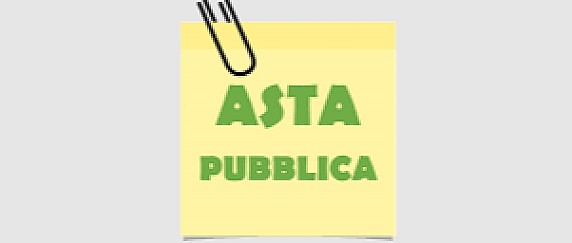 Avviso di asta pubblica dell’Unione di Comuni Montani Appennino Pistoiese: vendita di materiale legnoso da lotti boschivi