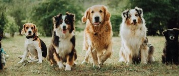 MICROCHIP DAY GRATUITO - 16 OTTOBRE 2026