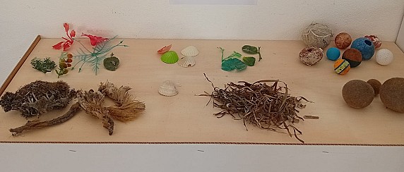 Concluso il primo evento di "Alga a chi?"