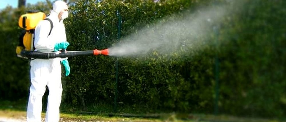 Disinfestazione anti dengue nella notte del 5 ottobre