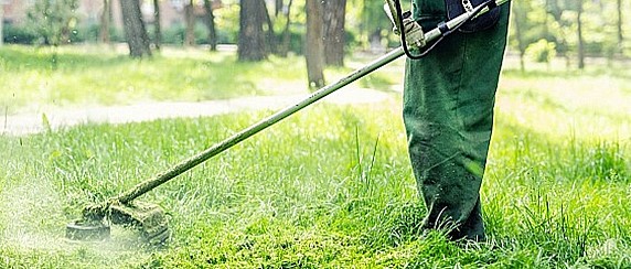 Ordinanze sui fondi confinanti con le strade provinciali