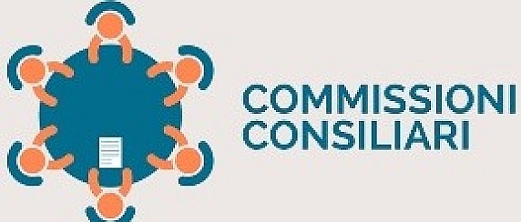 Verbali commissioni consiliari