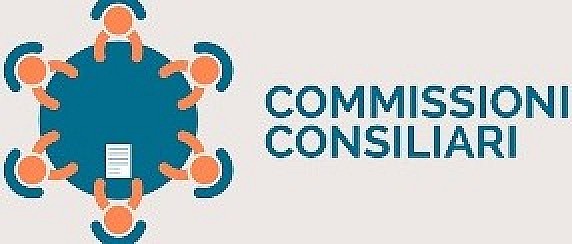 Commissione consiliare 2 "Cultura e Intercultura, Parità e Inclusione"