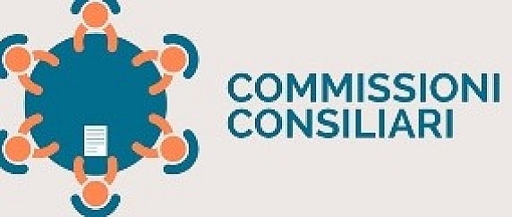 Commissione consiliare 1 "Affari generali e sviluppo economico del territorio"