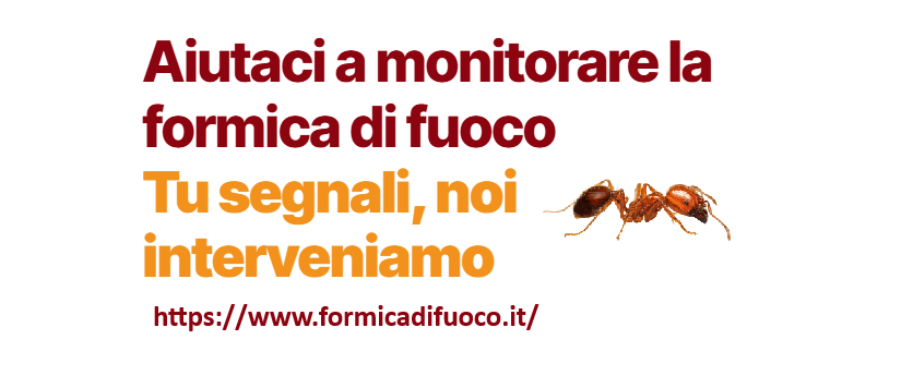 Immagine principale