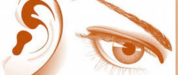 Interventi rivolti agli alunni con disabilità fisiche e sensoriali per l'a.s. 2026/2027