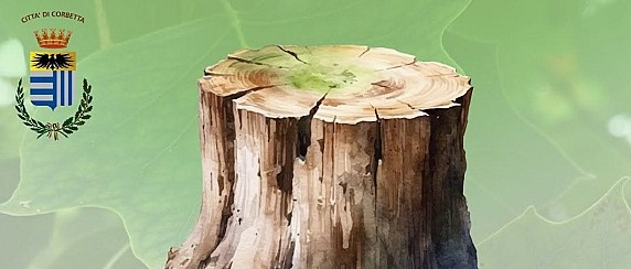 Abbattimento alberi