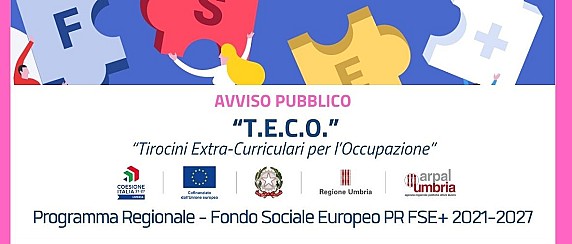 T.E.C.O. – Tirocini Extra-Curriculari per l’Occupazione