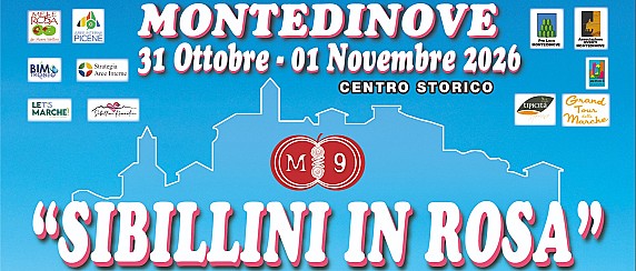 Immagine non trovata