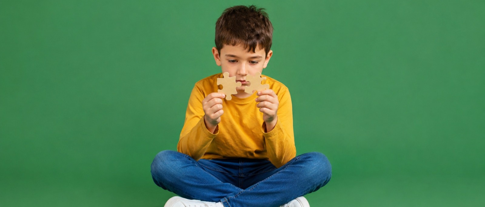 Immagine principale
