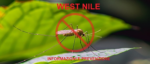 Avviso rilevazione di presenza di uccelli positivi alla west nile disease