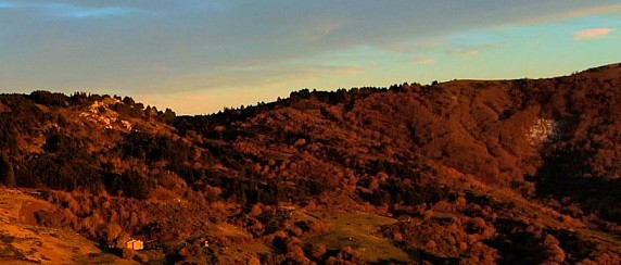 Riserva Naturale di Poggio all'Olmo