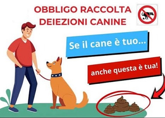 Immagine non trovata