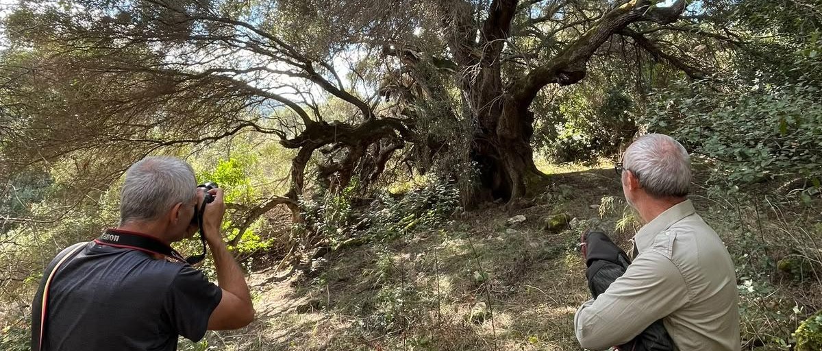 S'Ozzastru, primi rilievi per una nuova area naturalistica protetta