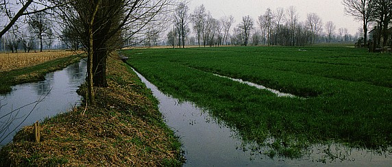 Parco Adda Sud: la natura della pianura