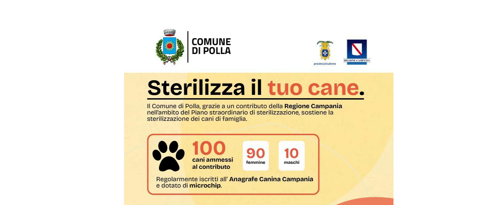 Immagine principale