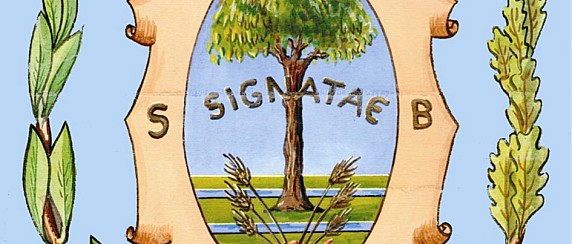 Consiglio Comunale