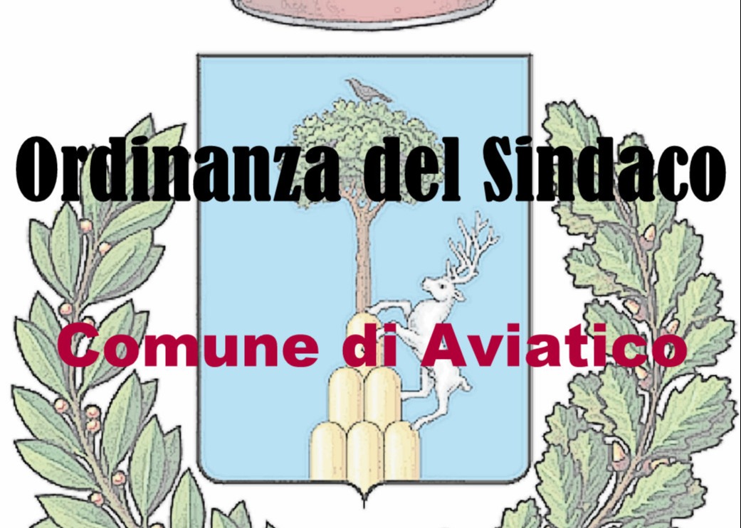 Ordinanza n. 13 del 13 Agosto 2020