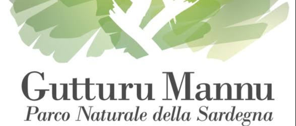 Immagine principale