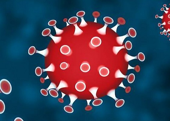 Covid-19/ Coronavirus: Ultimi provvedimenti - Scheda informativa
