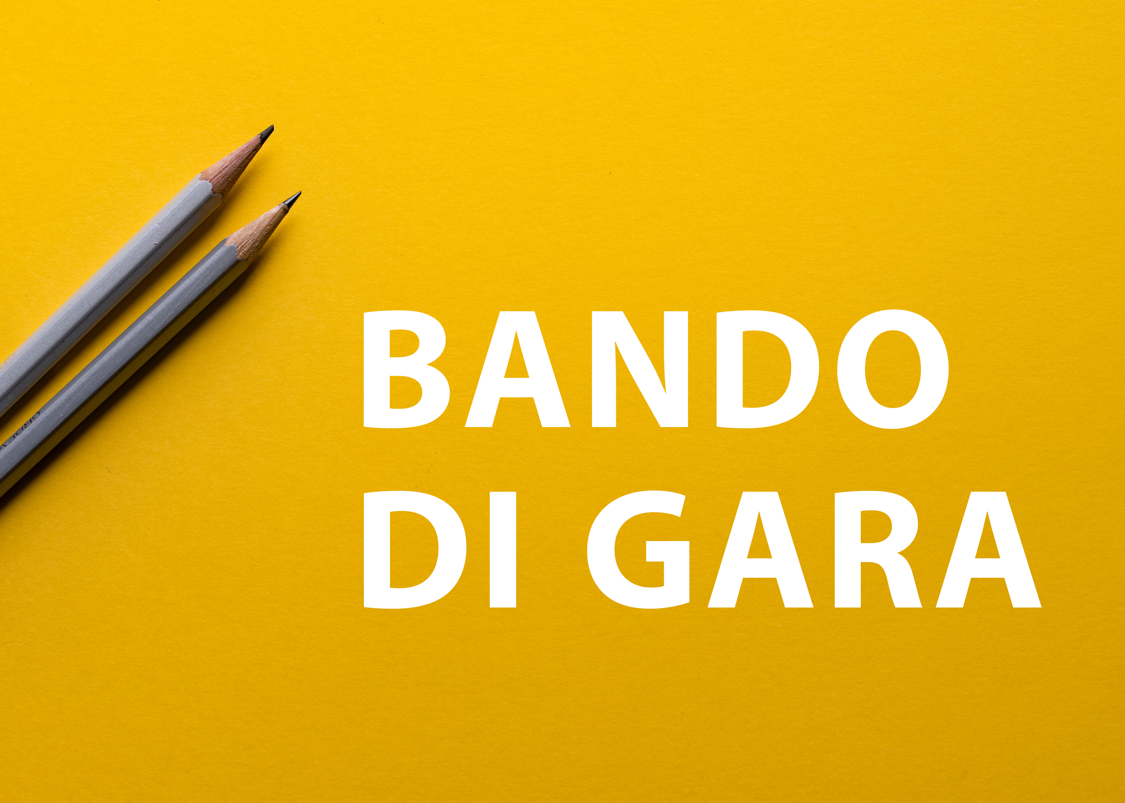 Bando di gara