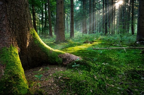 APPIANO NATURA