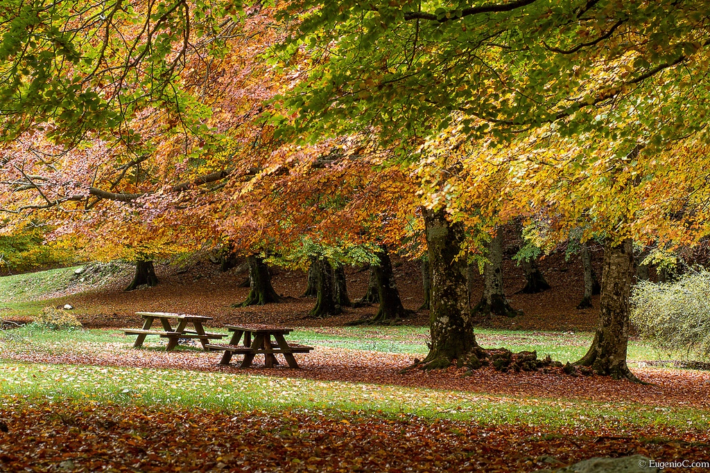 Prati di Campoli - Foto di Eugenio Oi
