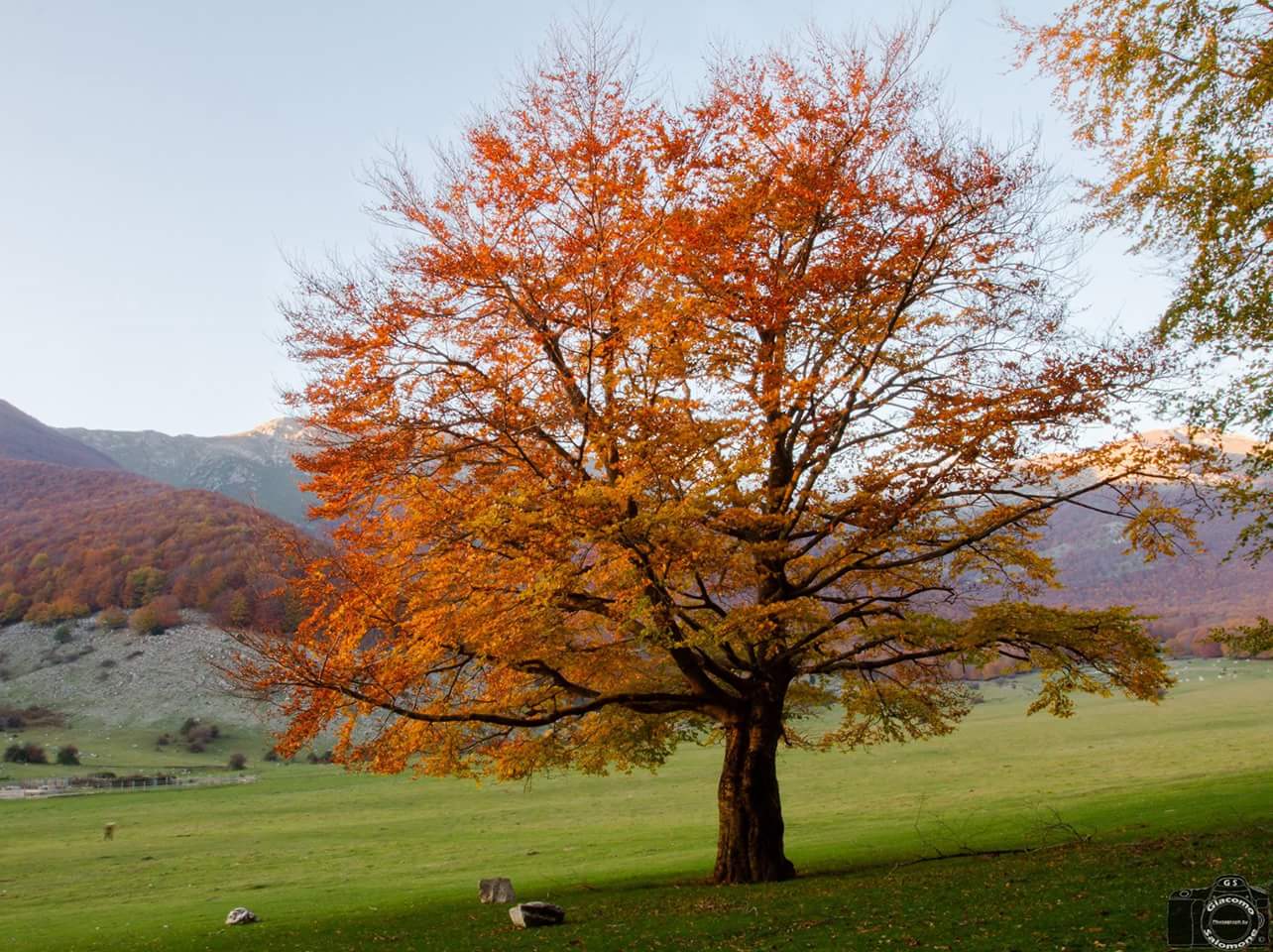 Panorama Prati di Campoli