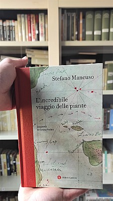 IMG_20210129_113232