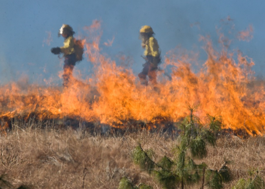 Applicazione delle misure di prevenzione rischio incendi boschivi in vista del periodo di massima pericolosità 15 giugno - 30 settembre