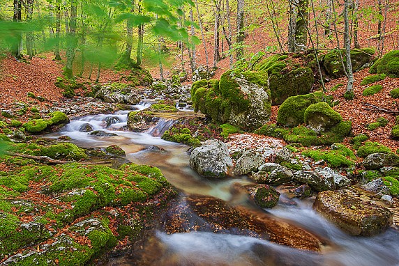Paesaggio maestoso in ogni stagione