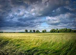 ECCEZIONALI AVVERSITÀ ATMOSFERICHE DEL 6 OTTOBRE 2021 NEL TERRITORIO DELLA REGIONE DEL VENETO